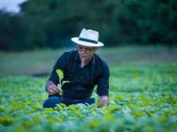 Dominican Big Leaguer Factory Tour&nbsp;2026